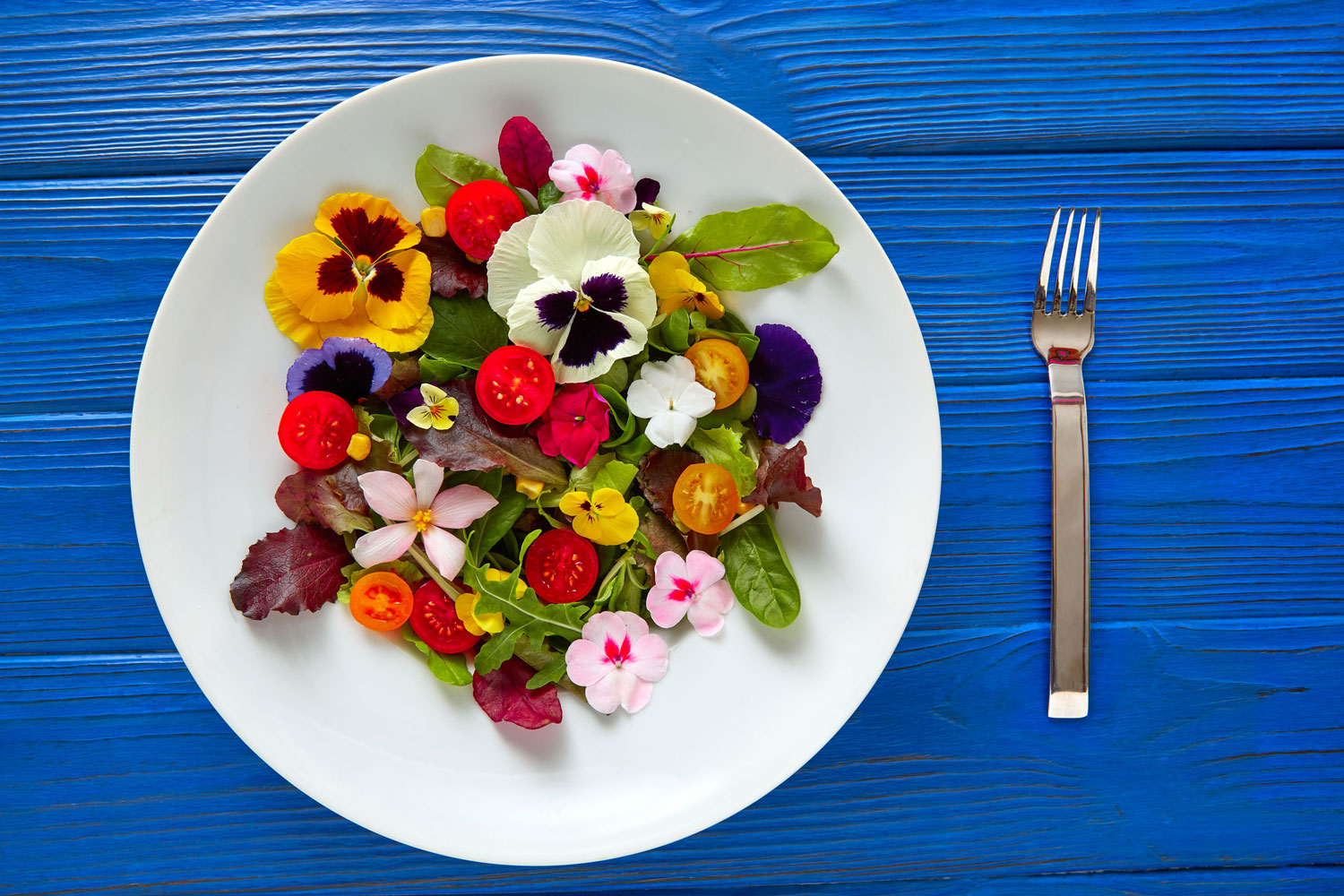 Tasty Or Toxic Beware Of The Trend For Edible Flowers Viva