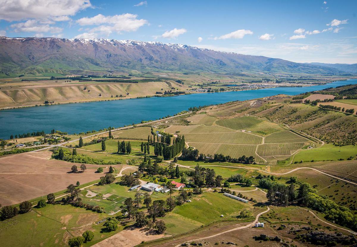 Cloudy Bay's Central Otago Experiment - Viva