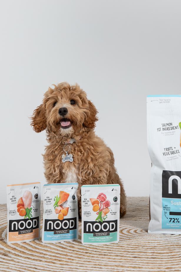 Nood The New Premium But Affordable Pet Food Making Waves Viva