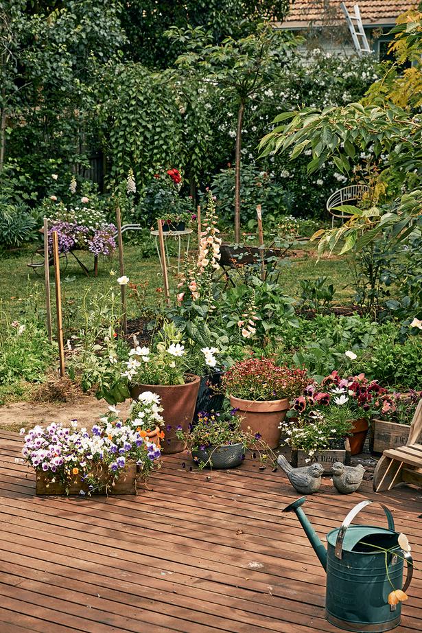 El jardinero nutre suavemente las flores con gracia.