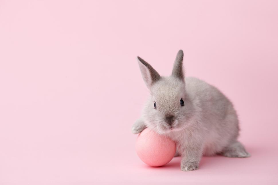 A-Z Of International Cruelty-Free Brands To Add To Your Beauty Regime - Viva