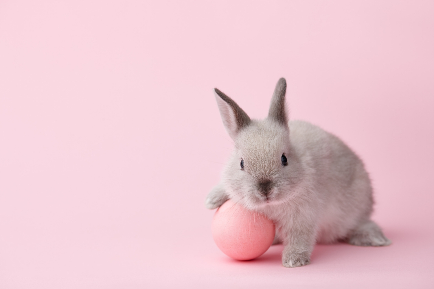 A-Z Of International Cruelty-Free Brands To Add To Your Beauty ...